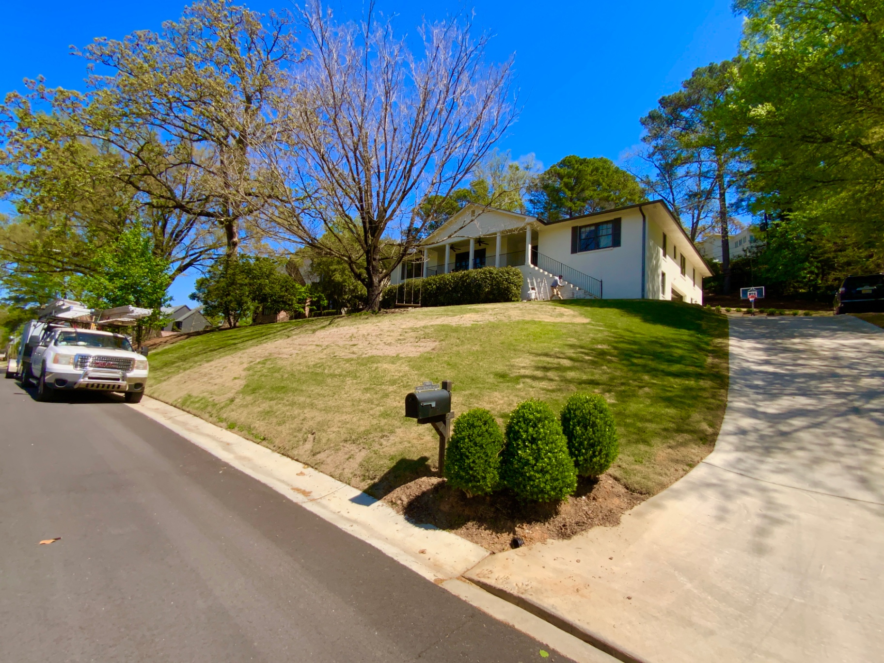 Freshly maintained residential lawn with trimmed hedges and clean curb appeal