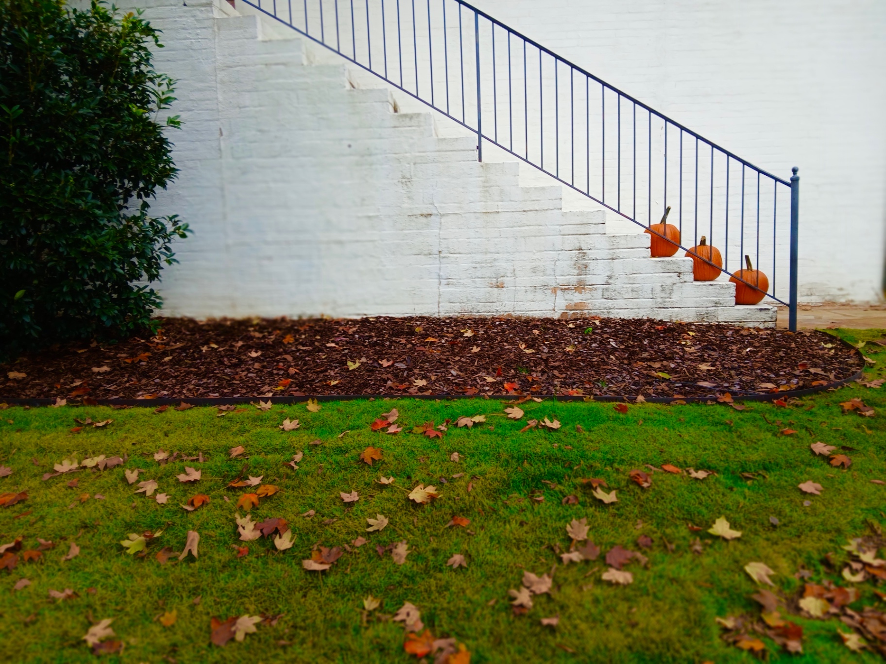 Manicured lawn with fresh mulch bedding and clean landscape edging